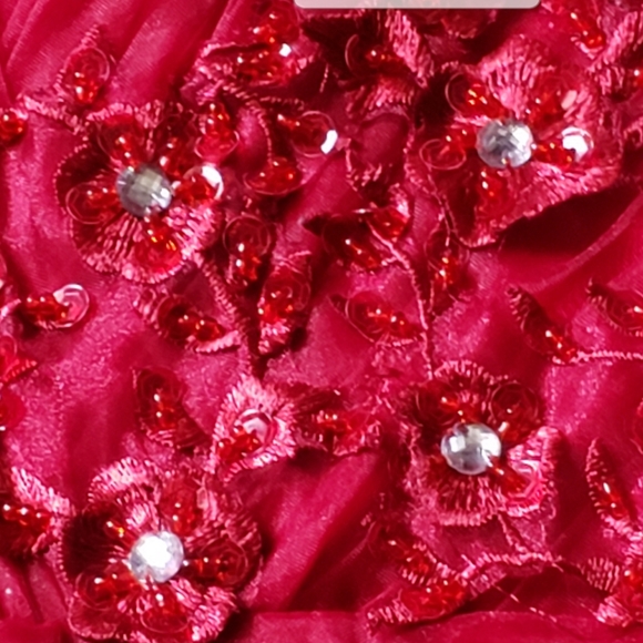 Red Dress - Picture 3 of 3